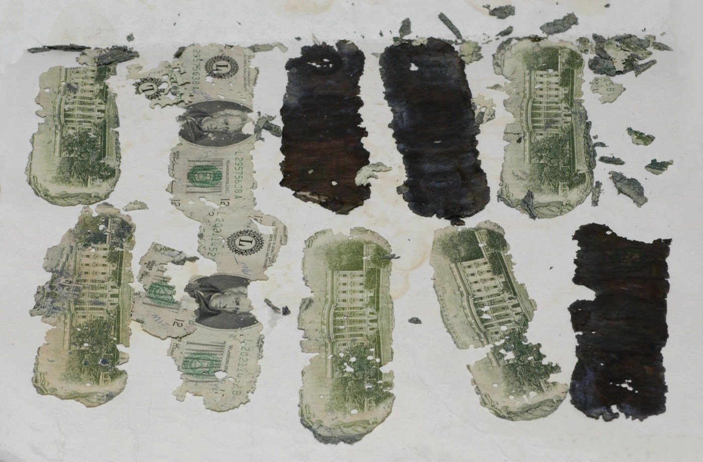 Decayed, fused twenty-dollar bills from the 1971 ransom, found in the sand by the Columbia River in 1980
