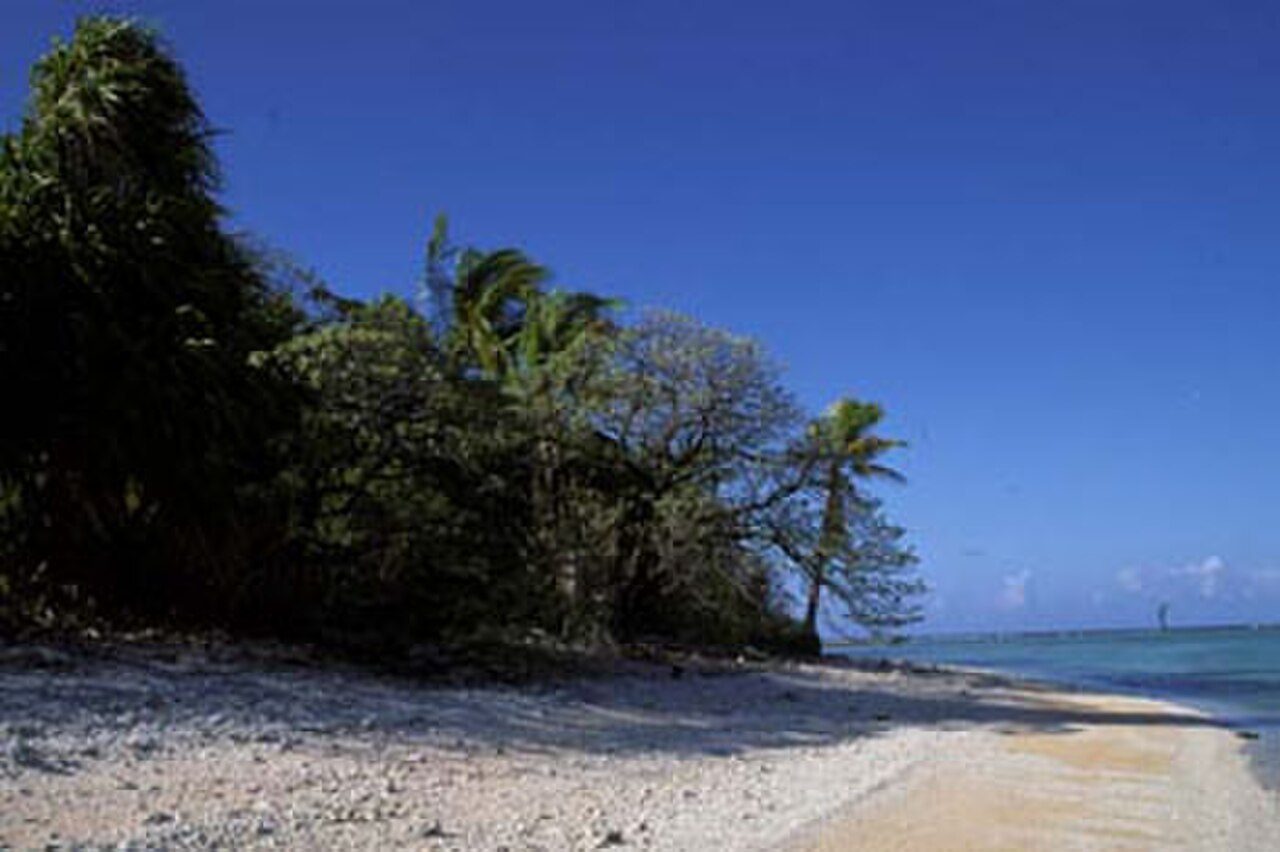 Color photograph of a beach on Nikumaroro (Gardner Island) with low trees, coconut palms and pale sand.